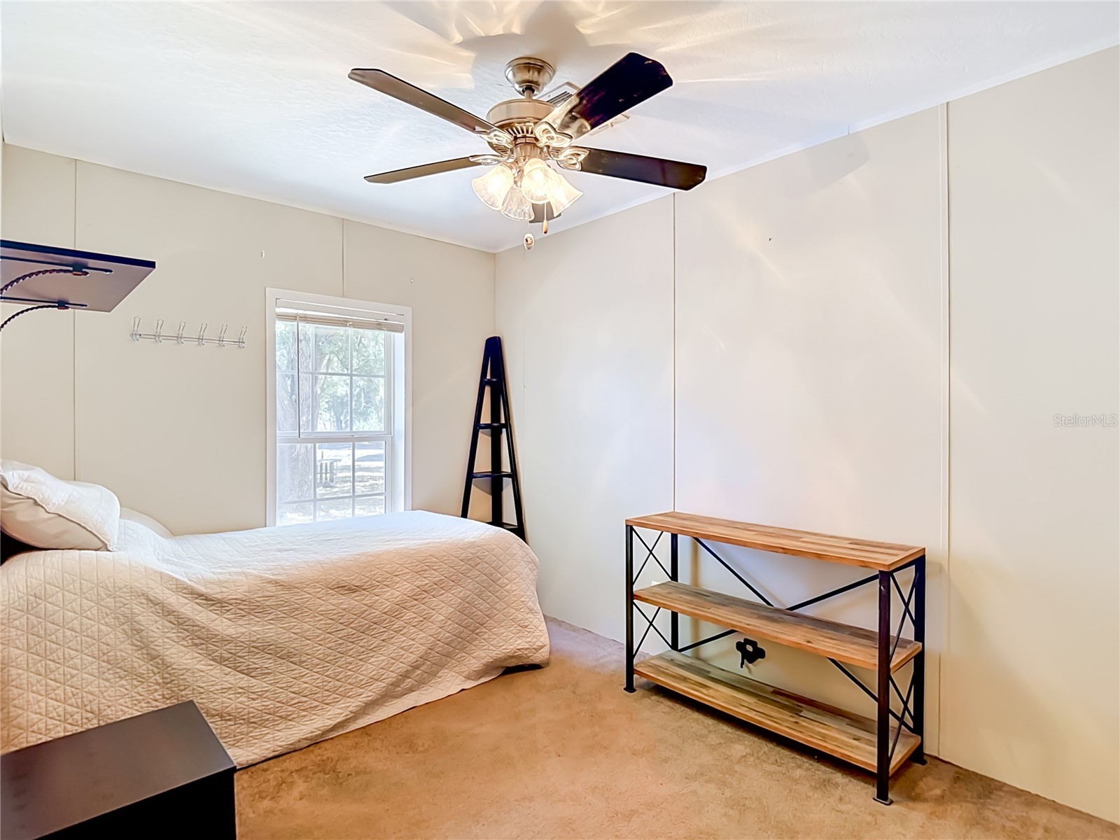 40949 Jerry Road Zephyrhills FL 33540 TB8504086 image30