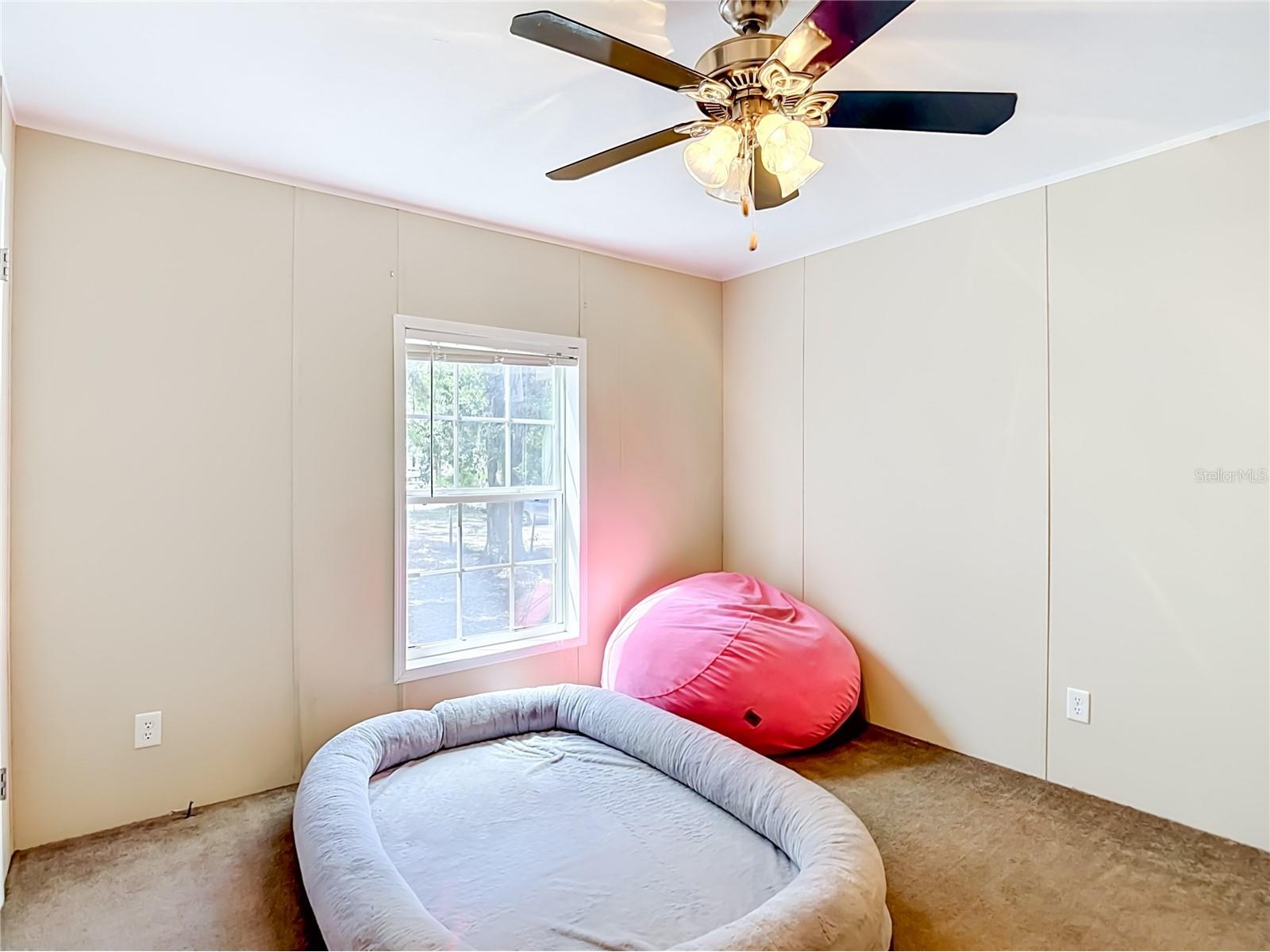 40949 Jerry Road Zephyrhills FL 33540 TB8504086 image31