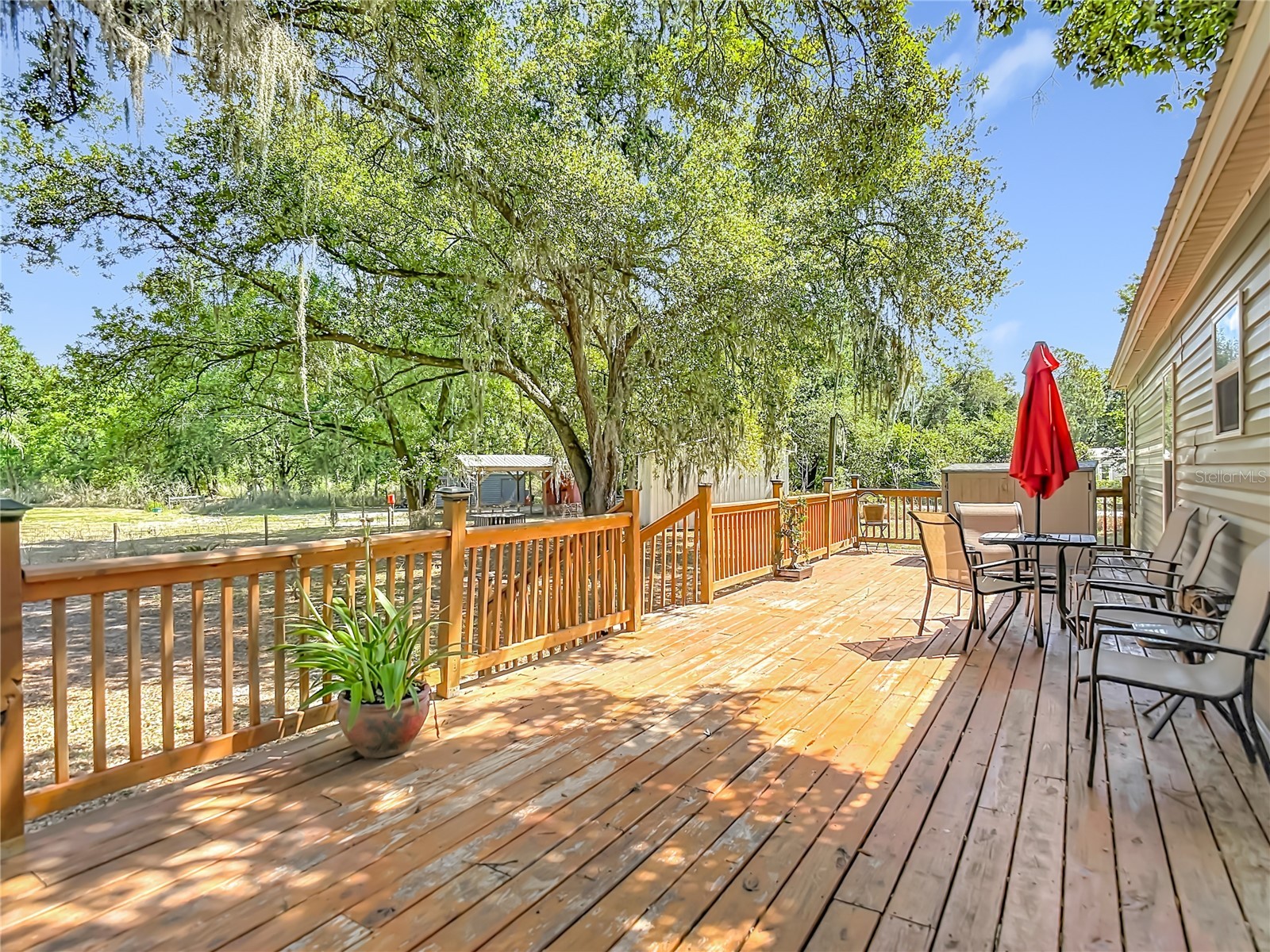 40949 Jerry Road Zephyrhills FL 33540 TB8504086 image38