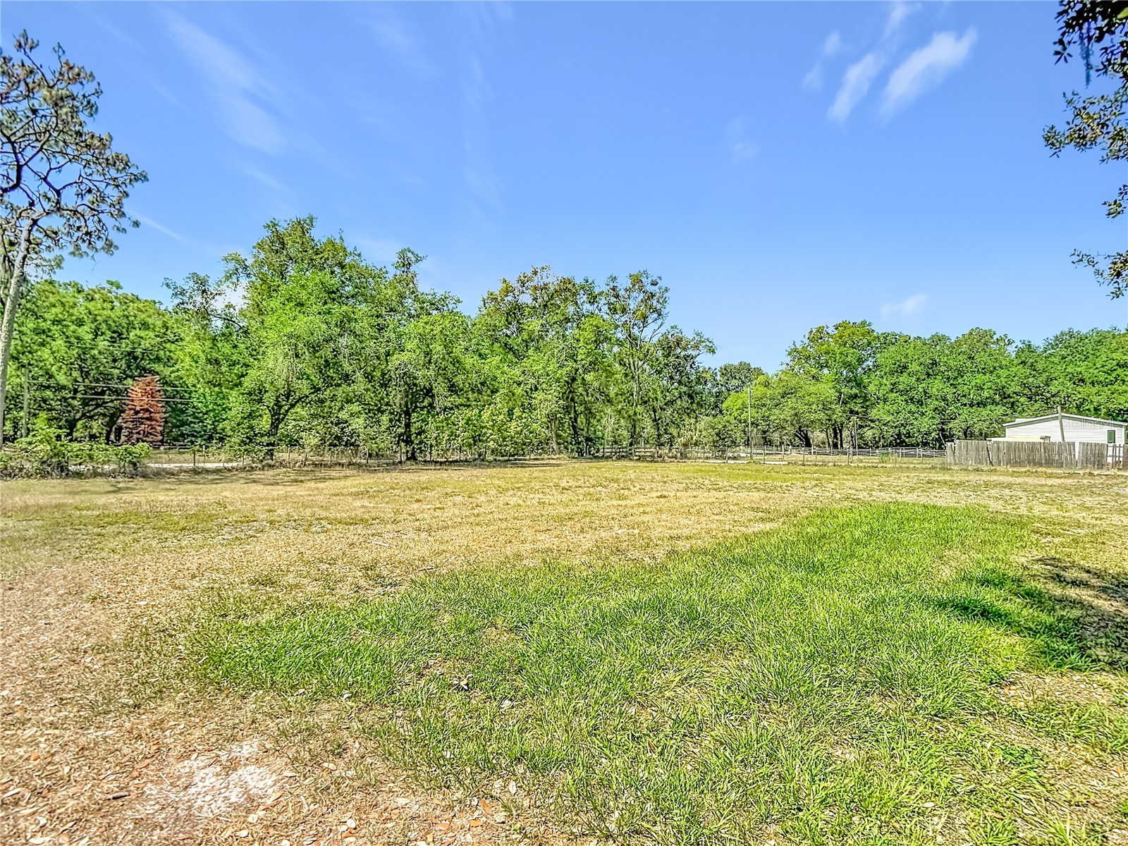 40949 Jerry Road Zephyrhills FL 33540 TB8504086 image43