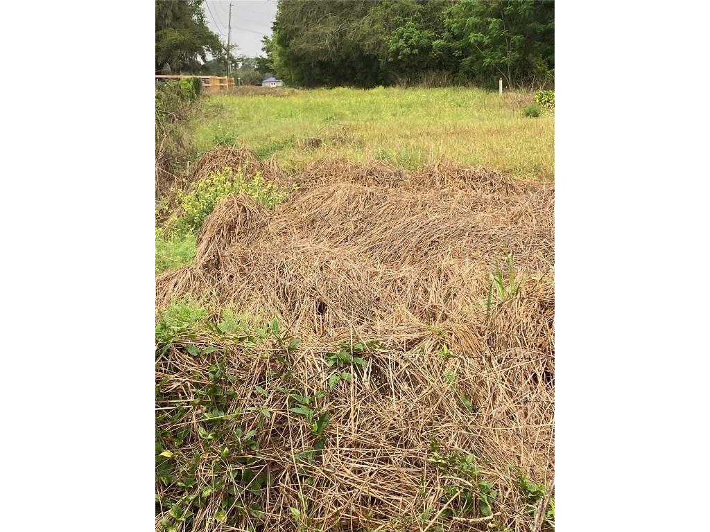 40950 Stewart Road Dade City FL 33523 U8194739 image1