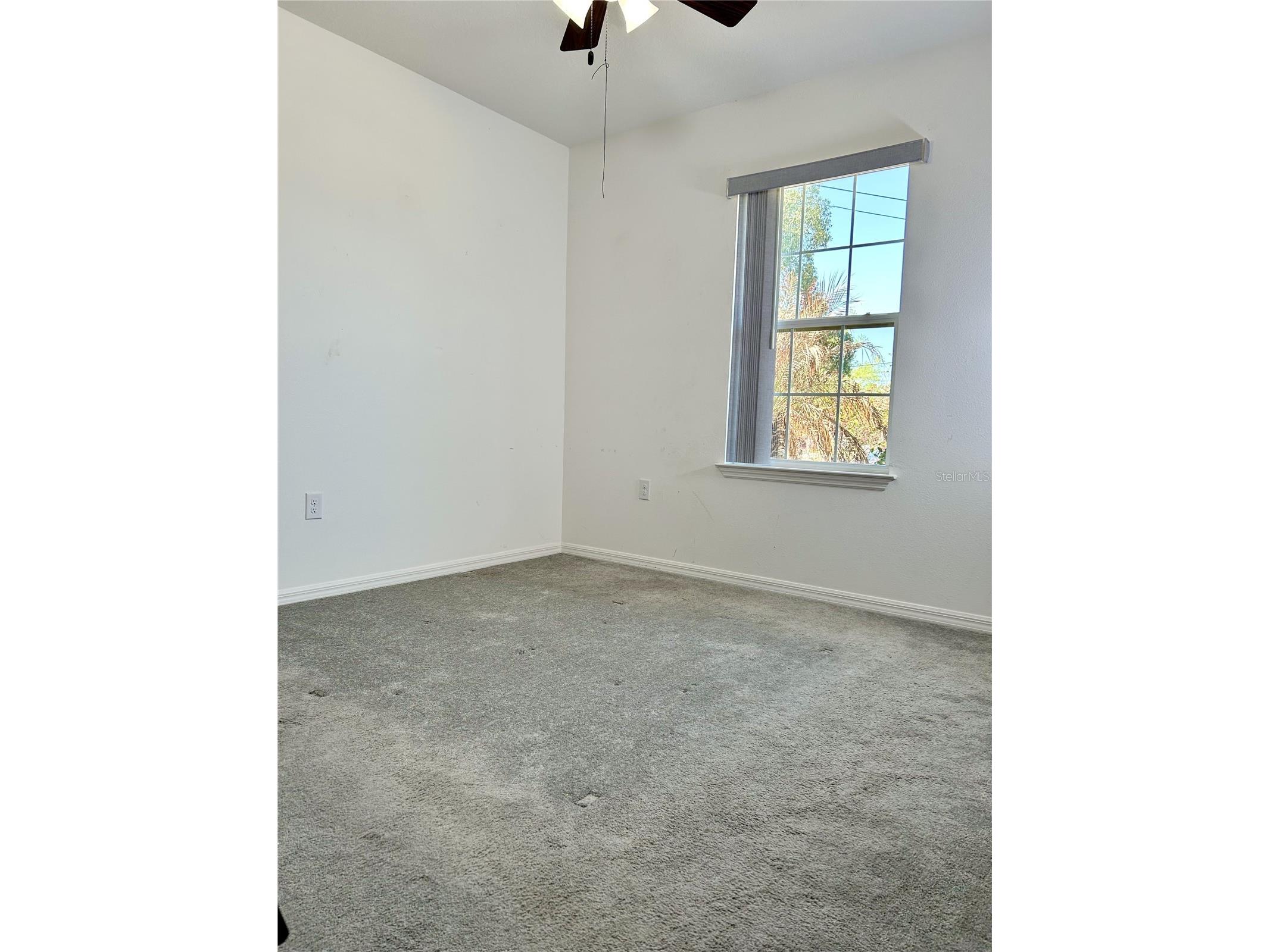 4096 Thunderbird Avenue Spring Hill FL 34606 TB8481714 image12