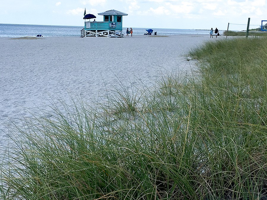 4098 New Milford Street North Port FL 34288 N6141328 image35