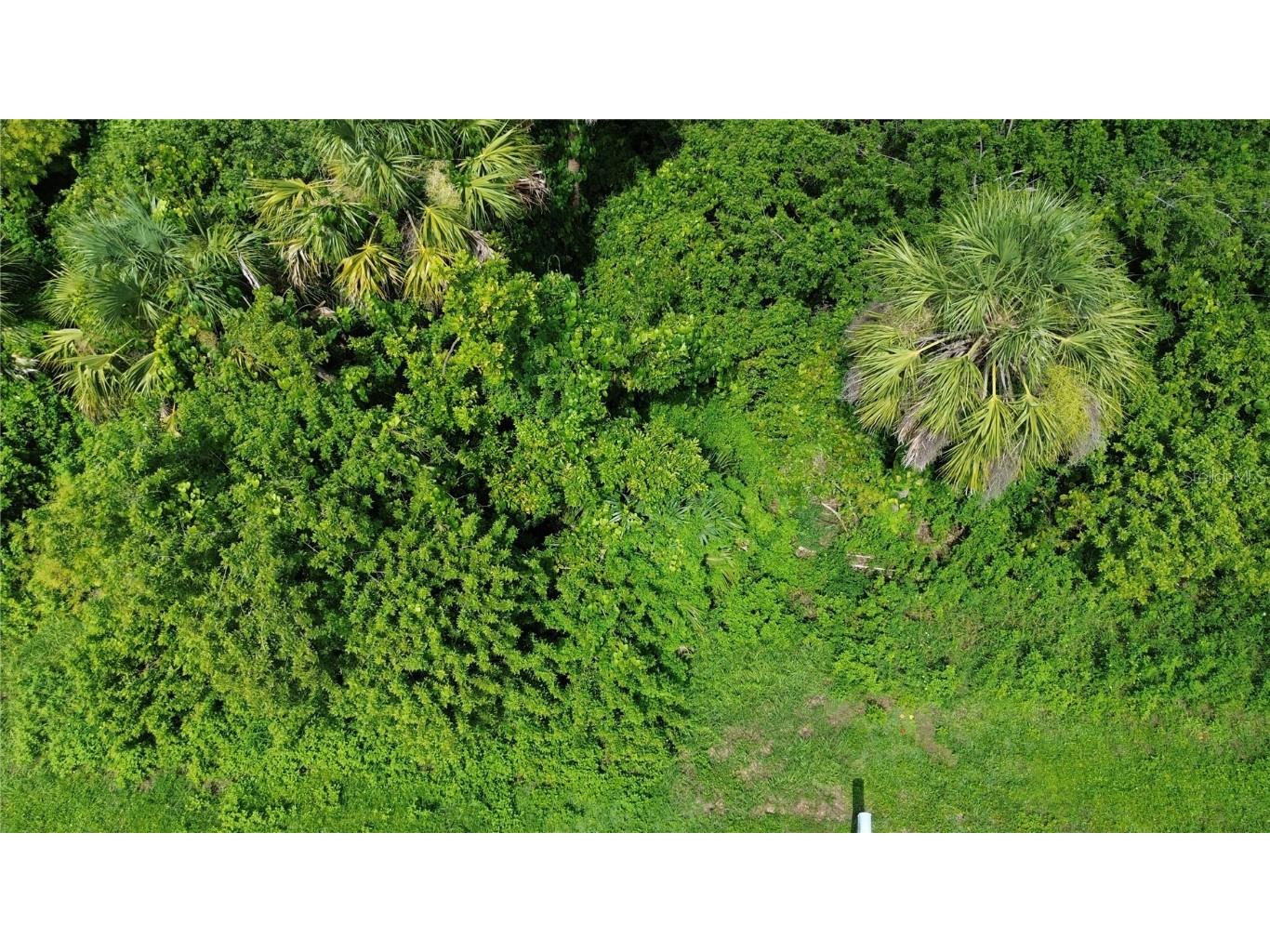 4099 Dotham Street Port Charlotte FL 33948 O6337757 image3