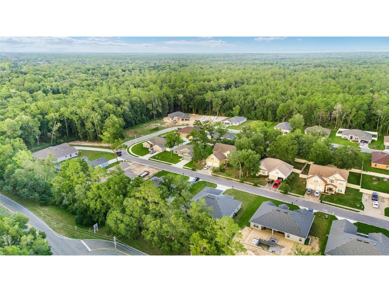 4099 NE 58th Circle Silver Springs FL 34488 OM709215 image53