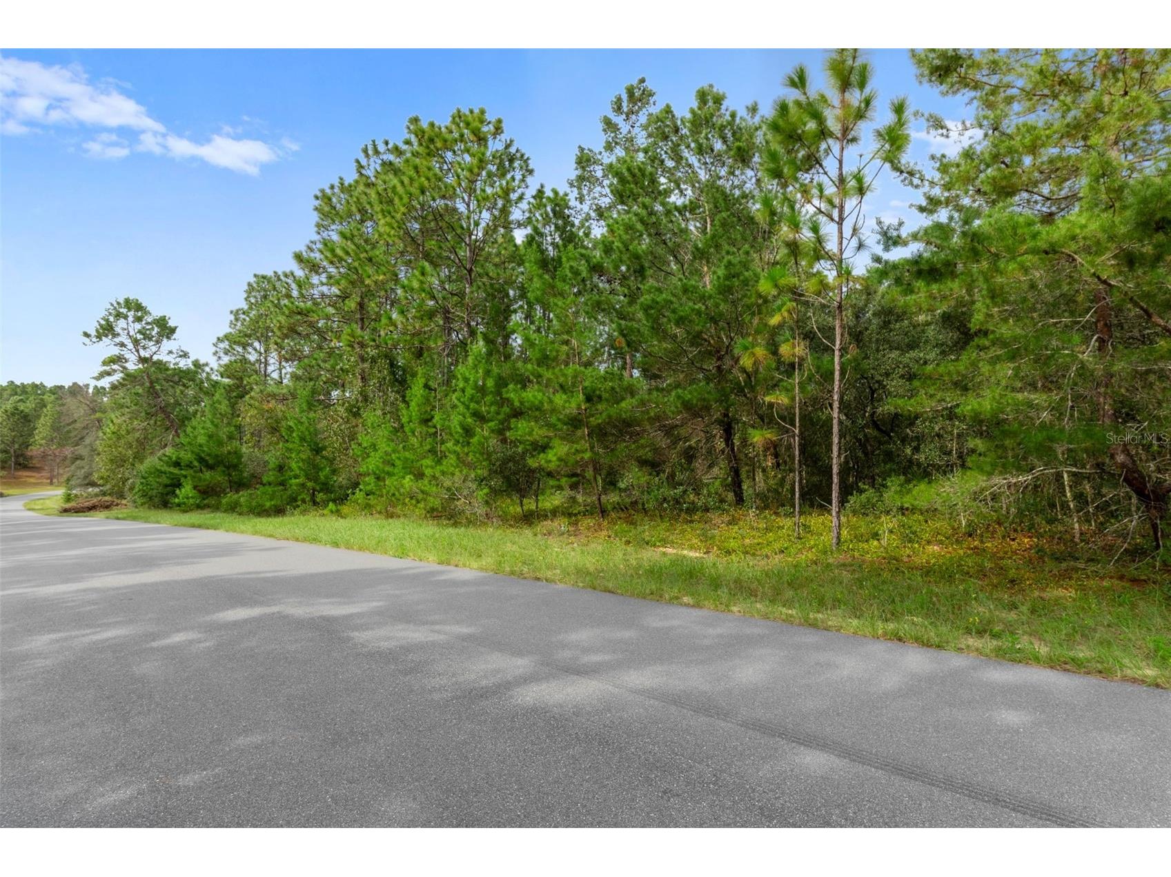 4099 W Malaluka Circle Dunnellon FL 34433 W7879224 image1