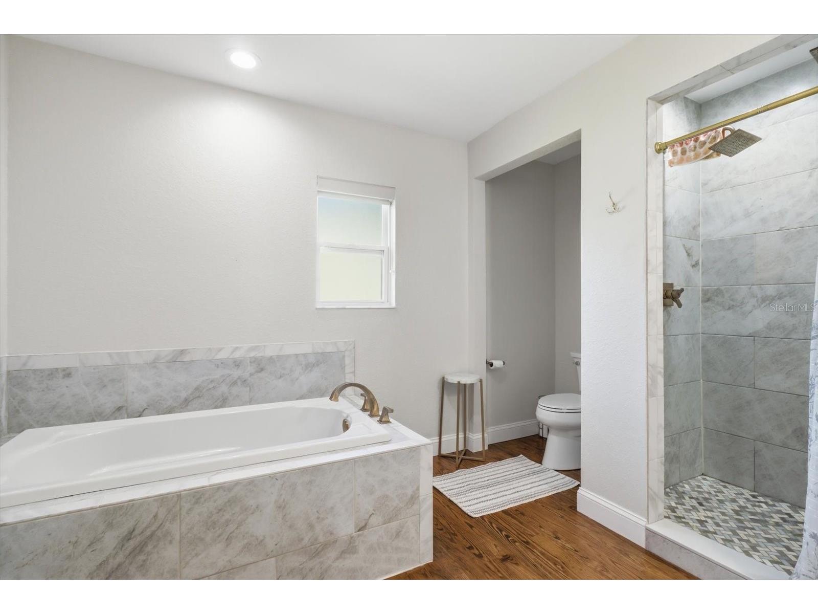 4099 W Ridge Lane Dunnellon FL 34433 - WITHLACOOCHEE RIVER BASIN TB8523351 image22