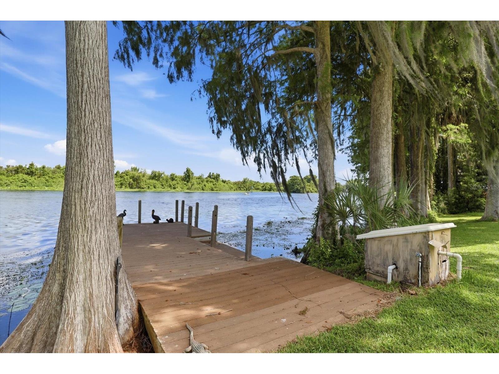 4099 W Ridge Lane Dunnellon FL 34433 - WITHLACOOCHEE RIVER BASIN TB8523351 image37
