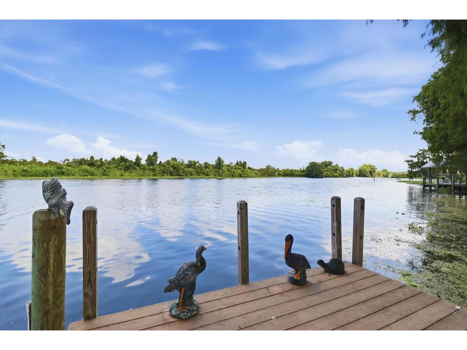 4099 W Ridge Lane Dunnellon FL 34433 - WITHLACOOCHEE RIVER BASIN TB8523351 image38