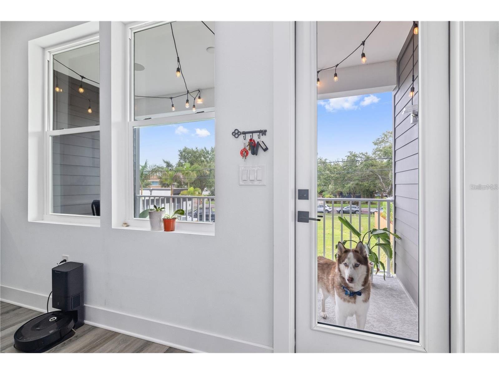 41 29th Street N Saint Petersburg FL 33713 TB8530559 image10