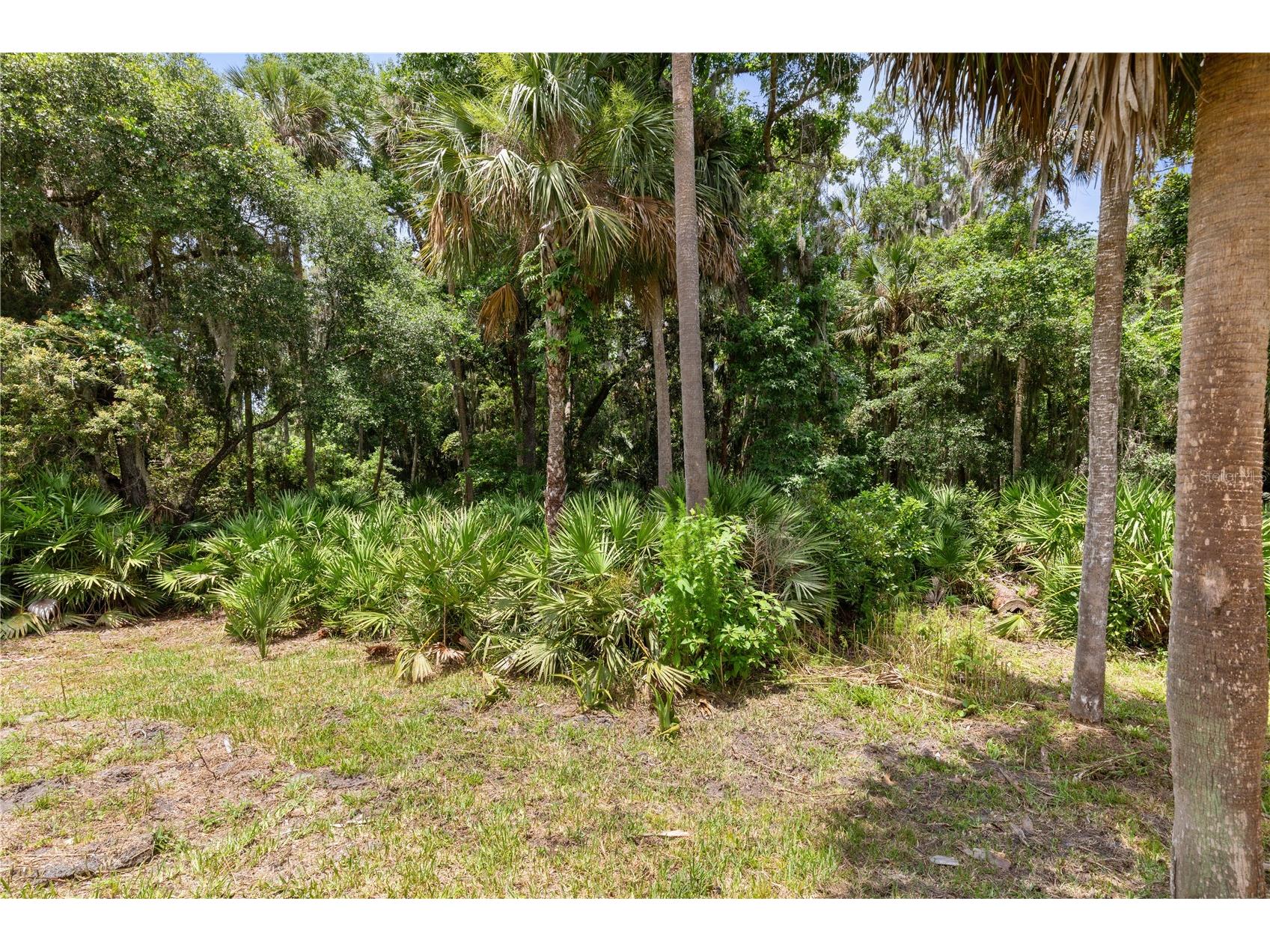 41 Auberry Drive Palm Coast FL 32137 FC319067 image49