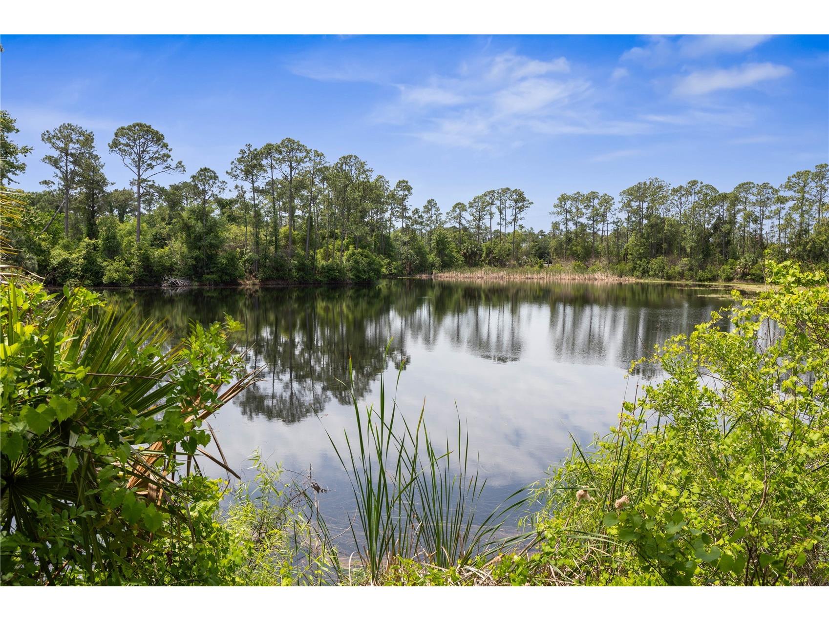 41 Auberry Drive Palm Coast FL 32137 FC319067 image80