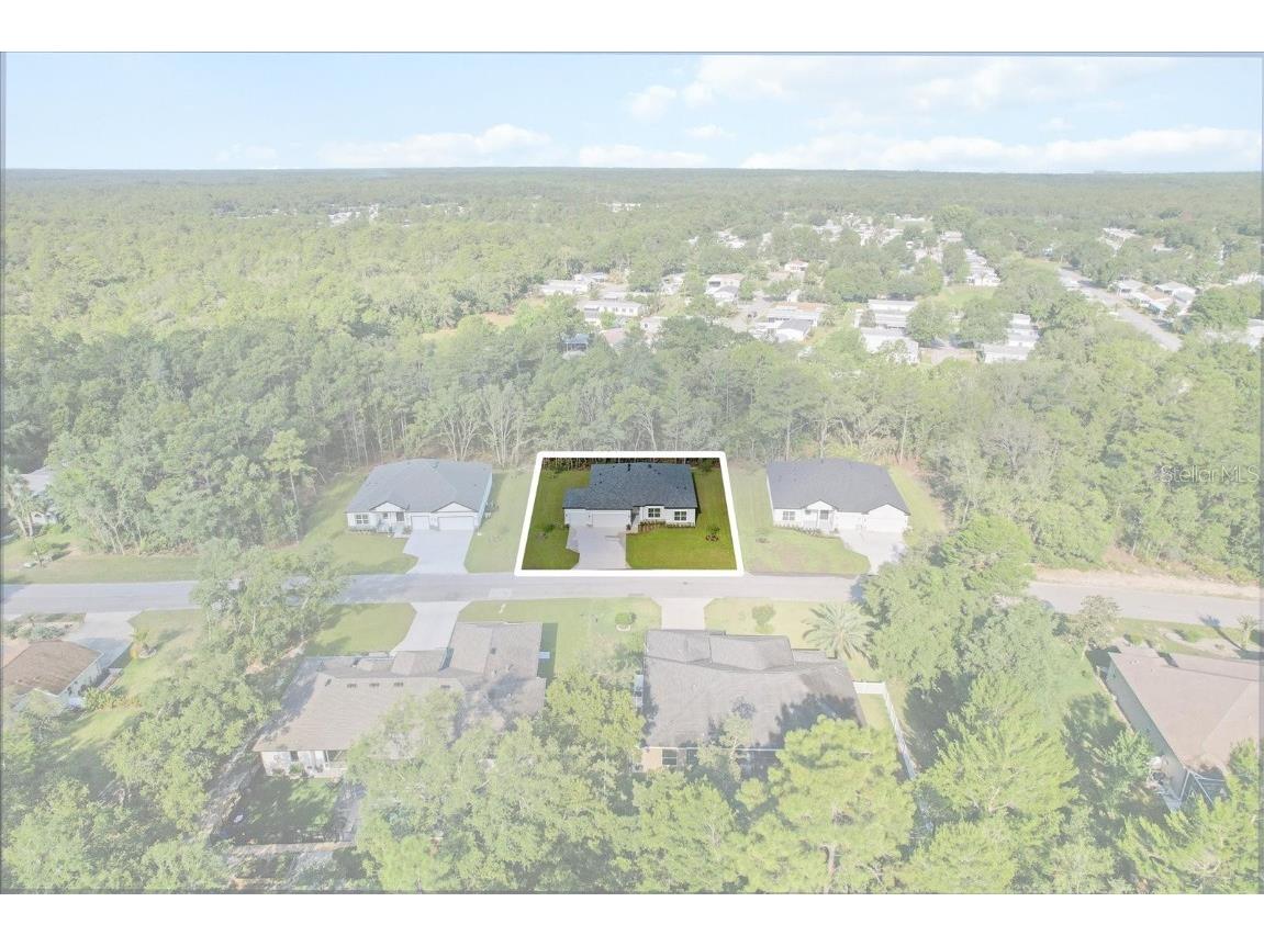 41 Bells Of Ireland Court Homosassa FL 34446 O6316015 image39