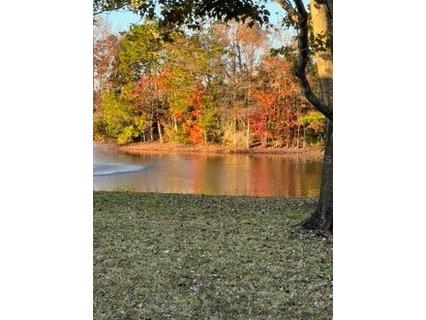 41 Coquina Point Drive Ormond Beach FL 32174 TB8460345 image30