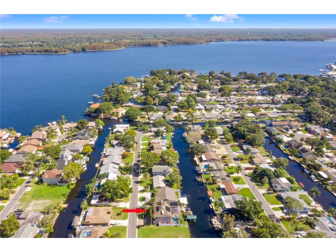 41 Cypress Drive Palm Harbor FL 34684 - LAKE TARPON W7868947 image37