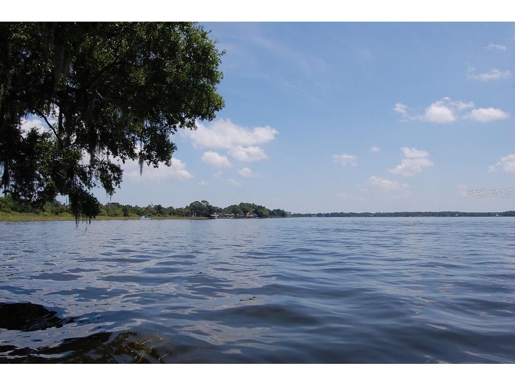 41 Cypress Drive Palm Harbor FL 34684 - LAKE TARPON W7868947 image40