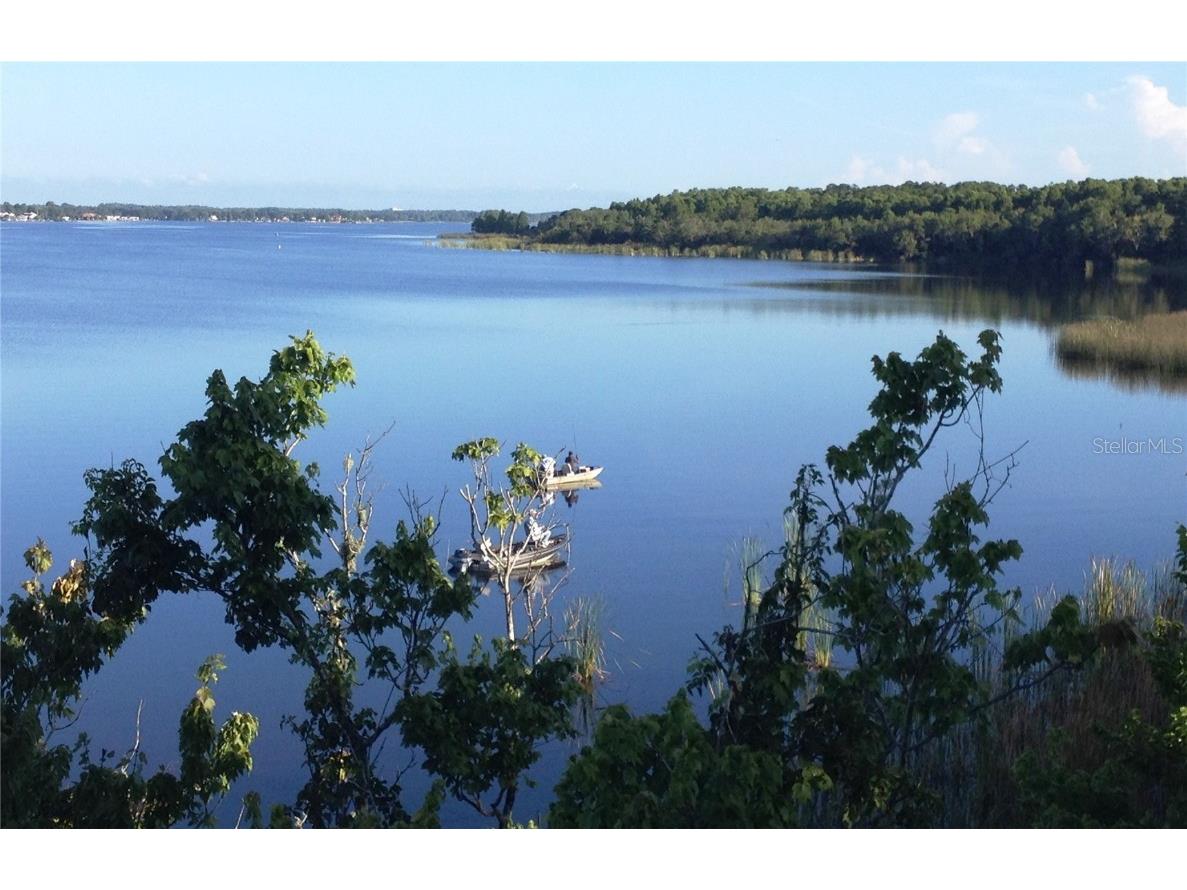 41 Cypress Drive Palm Harbor FL 34684 - LAKE TARPON W7868947 image43