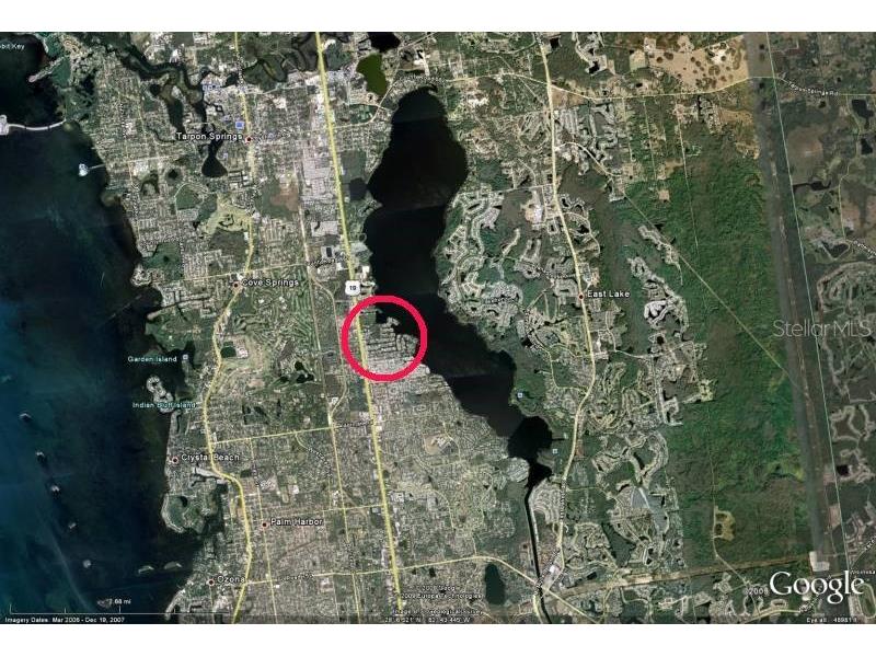 41 Cypress Drive Palm Harbor FL 34684 - LAKE TARPON W7868947 image44