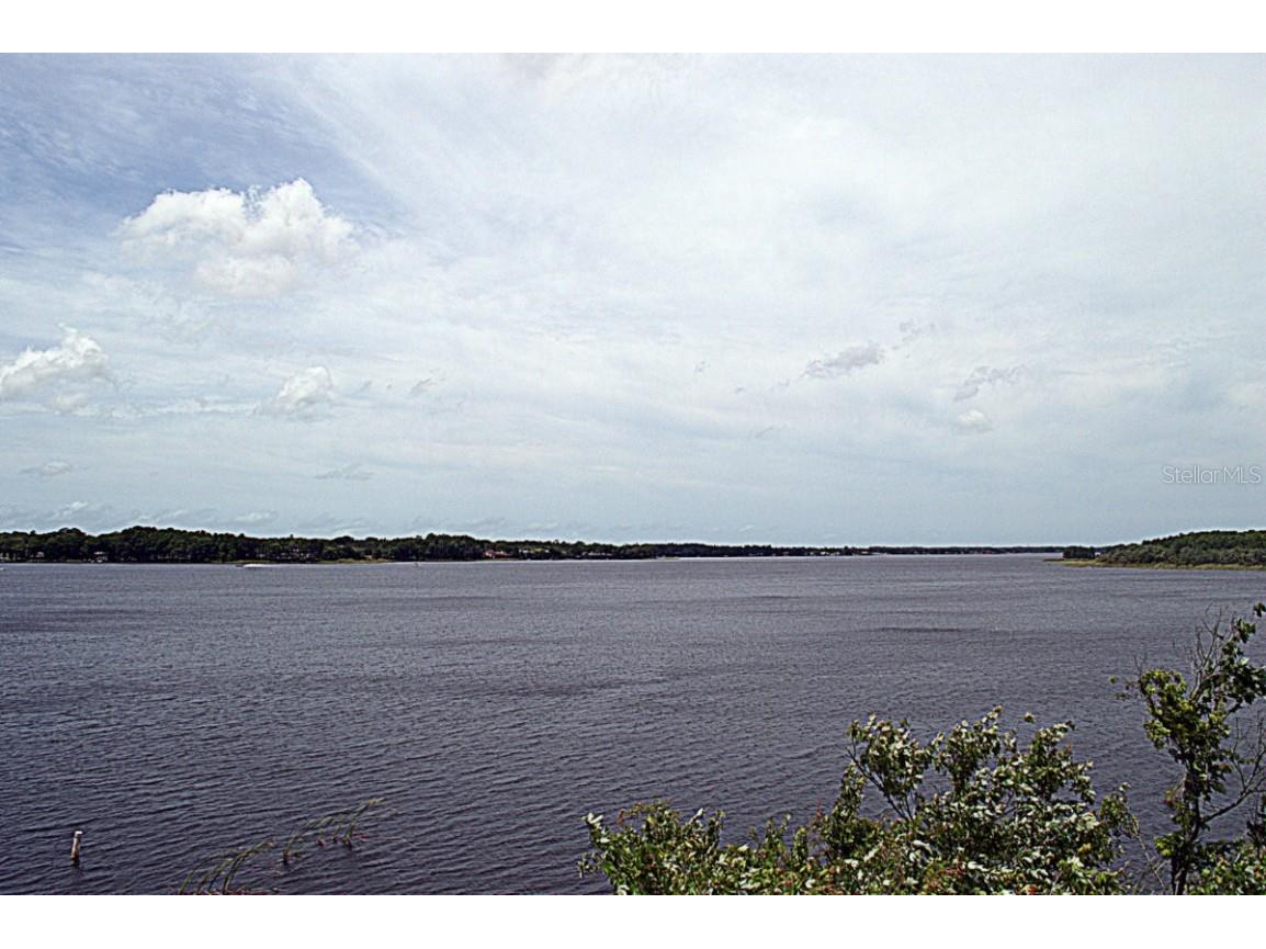 41 Cypress Drive Palm Harbor FL 34684 - LAKE TARPON W7868947 image45