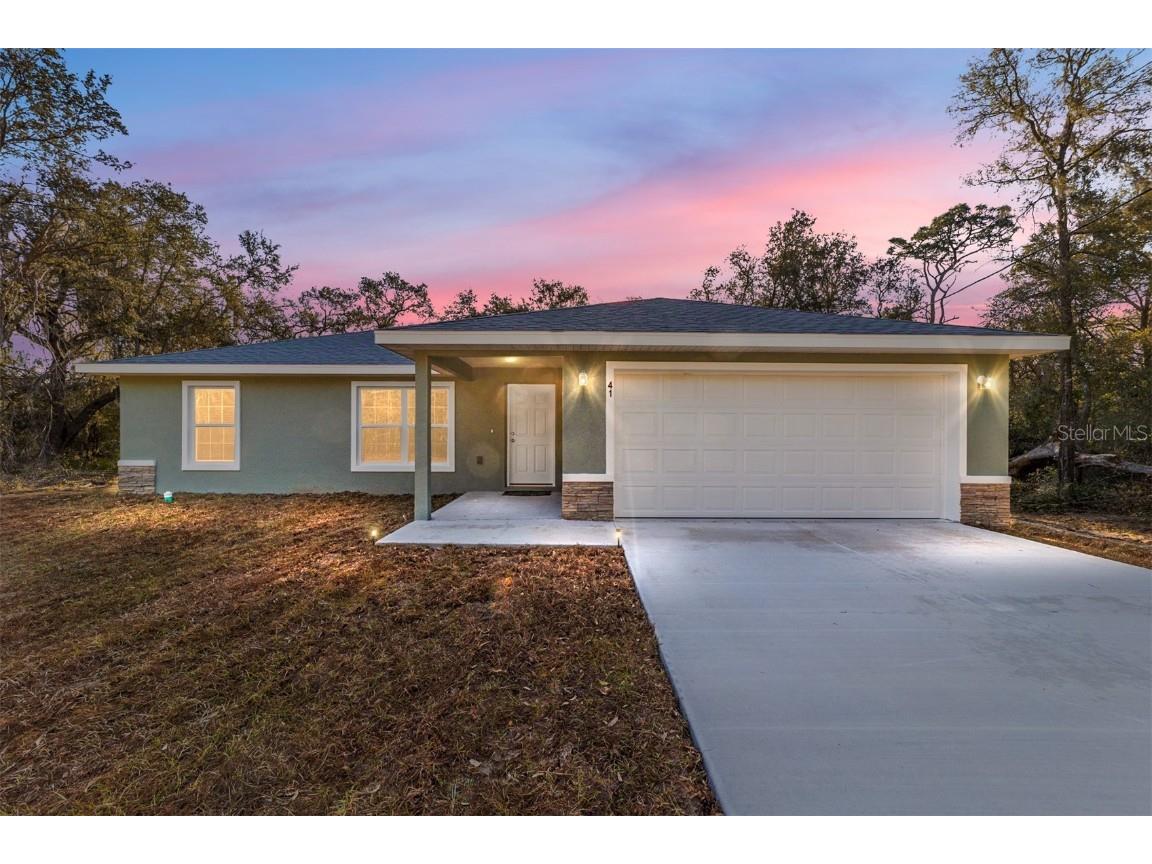 41 Fisher Way Run Ocklawaha FL 32179 OM673667 image1