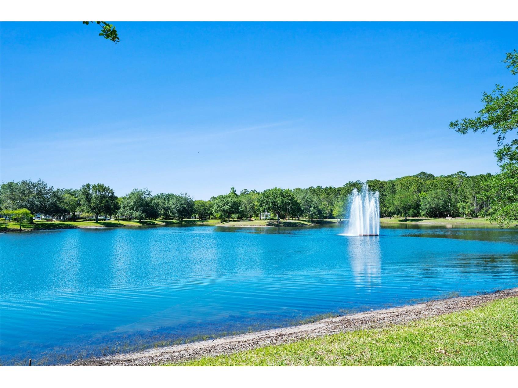 41 Magnolia Drive S #41 Ormond Beach FL 32174 FC317685 image63