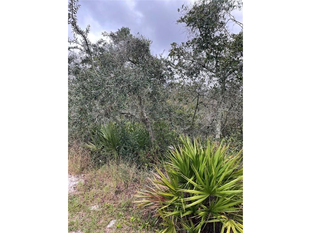 41 Orchid Court Poinciana FL 34759 S5096663 image1