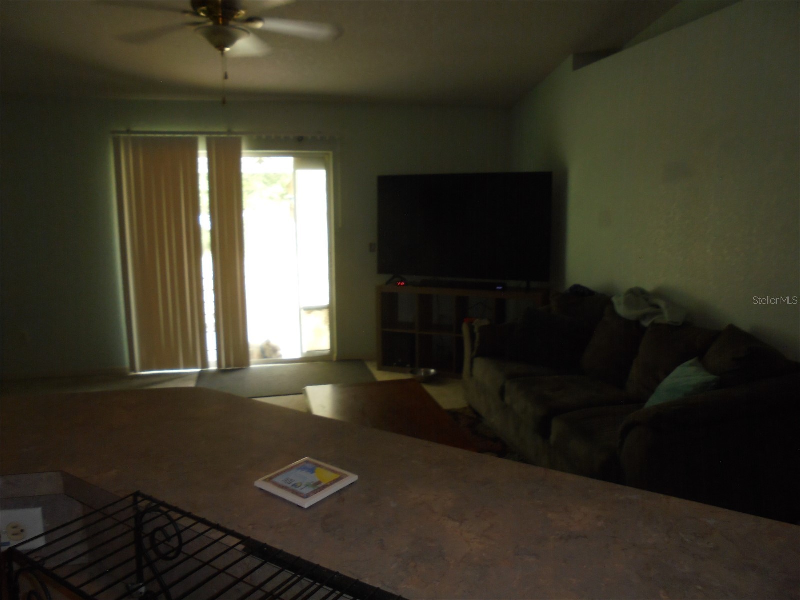 41 Pine Course Loop Ocala FL 34472 OM723190 image9