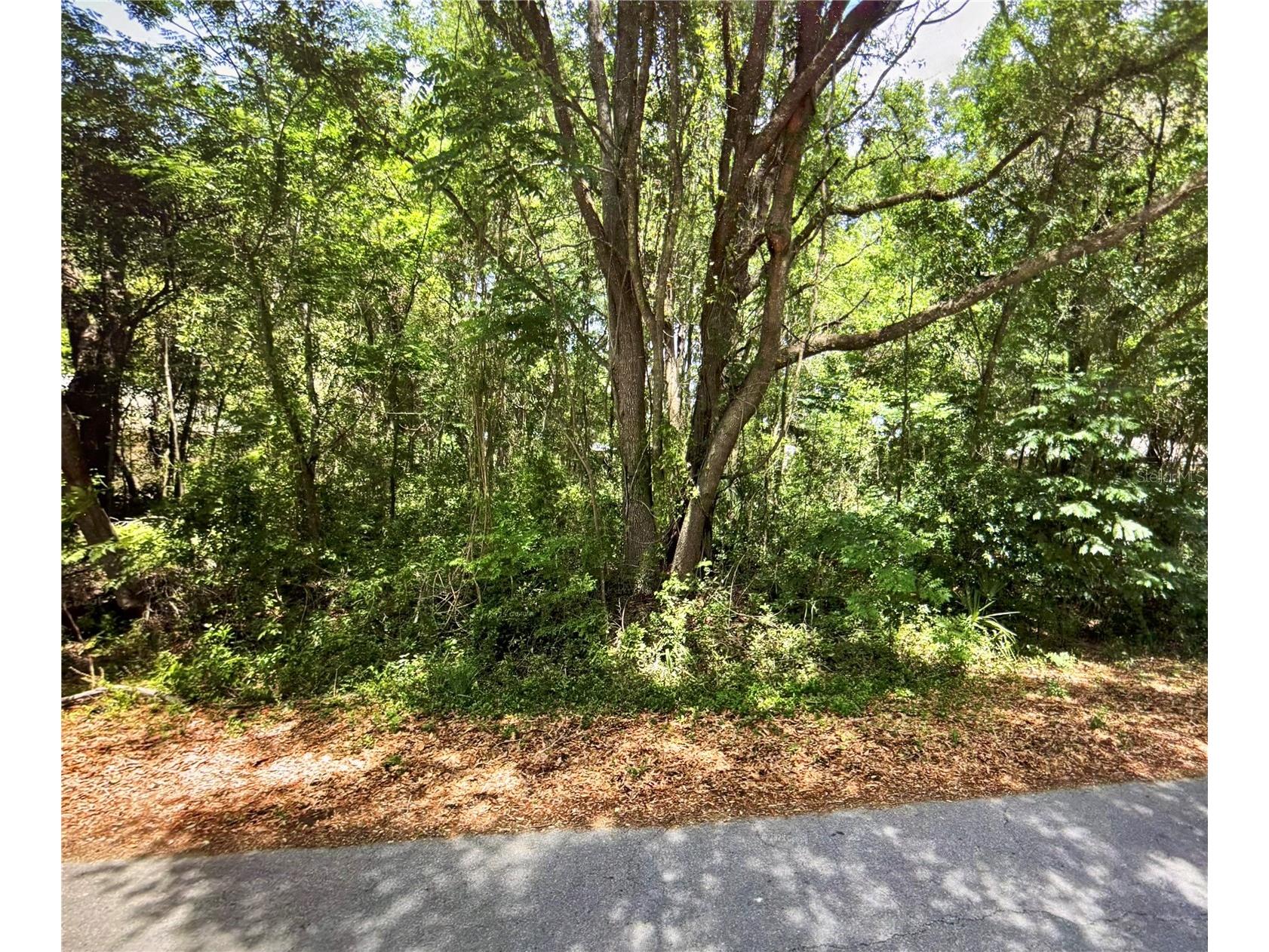 41 Pine Trace Course Ocala FL 34472 OM723488 image1
