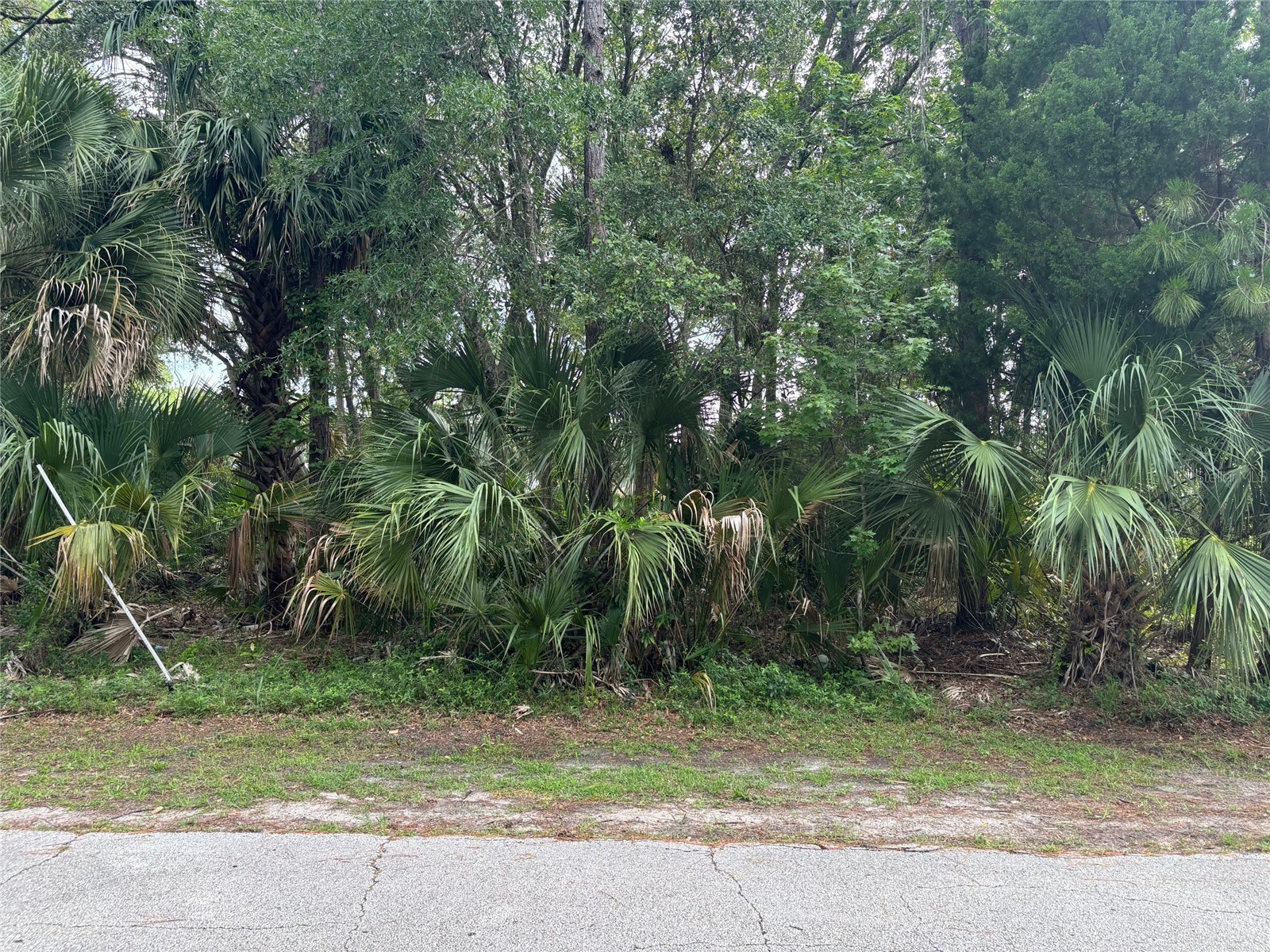 41 Poplar Drive Palm Coast FL 32164 FC310477 image1
