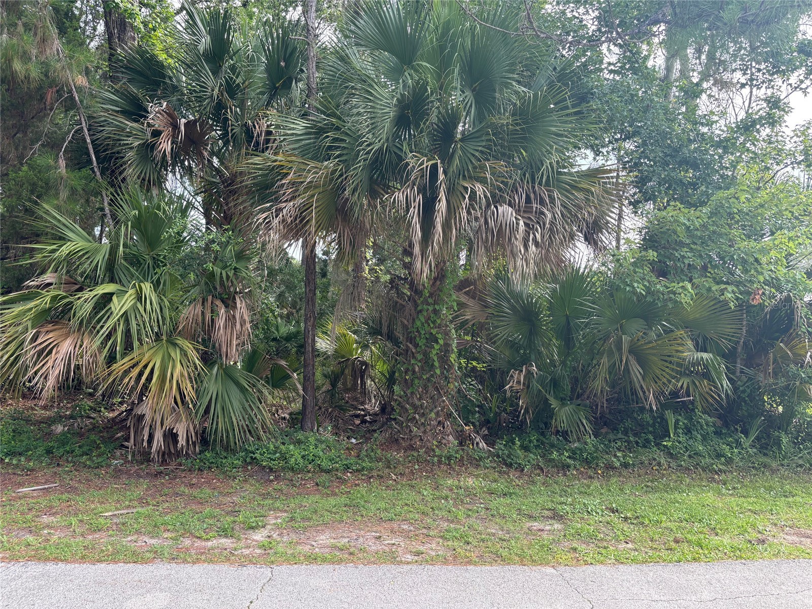 41 Poplar Drive Palm Coast FL 32164 FC310477 image2