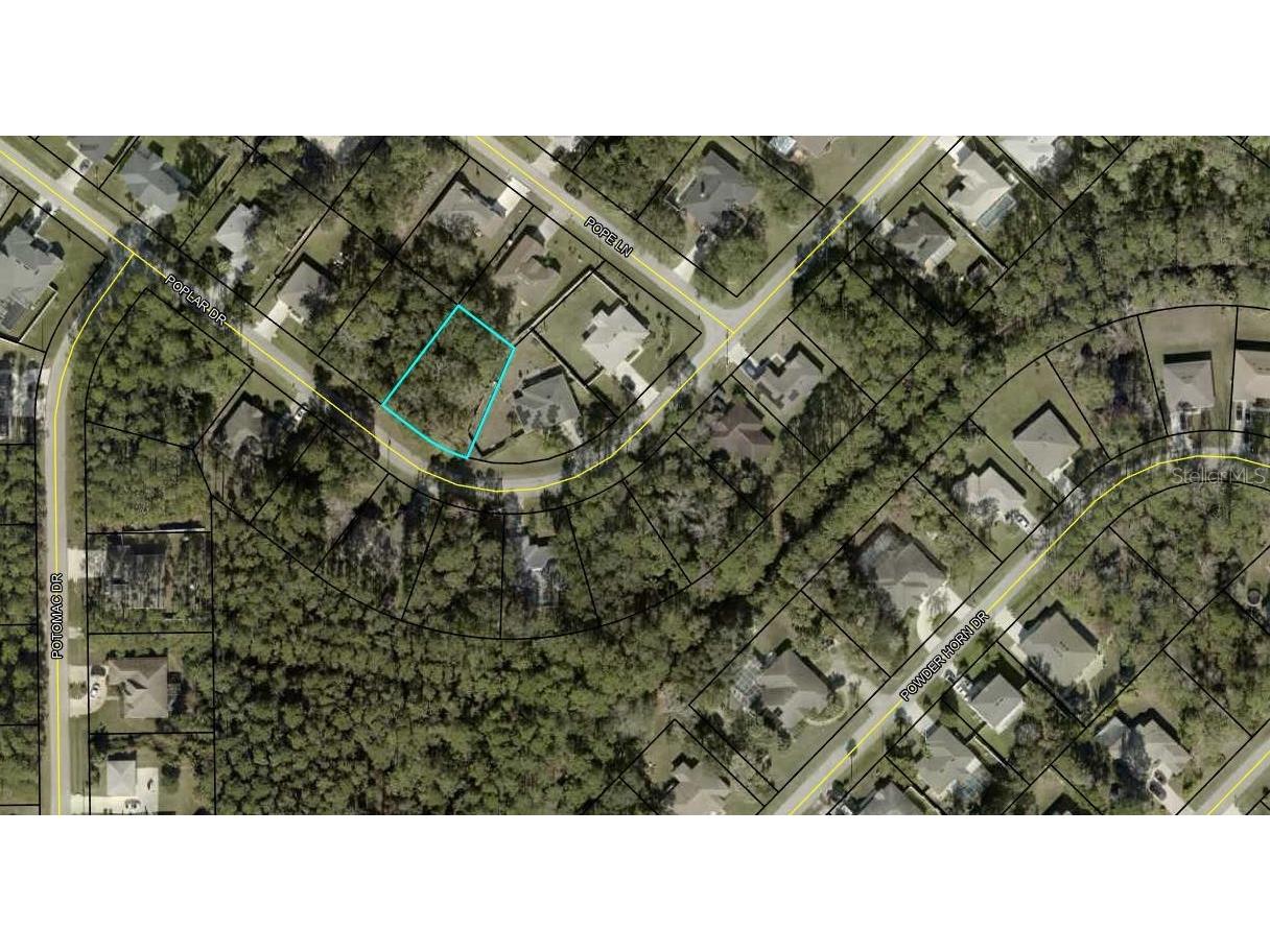 41 Poplar Drive Palm Coast FL 32164 FC310477 image4