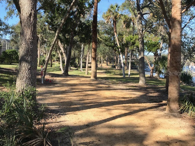 41 Riverview Bend N Palm Coast FL 32137 FC313859 image66