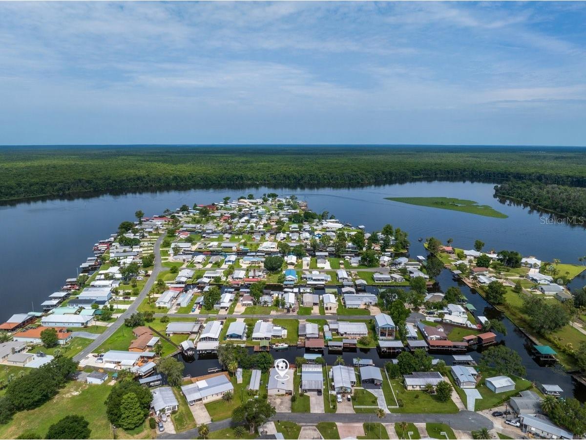 41 Scott Street Welaka FL 32193 - ST. JOHNS RIVER GC541056 image37