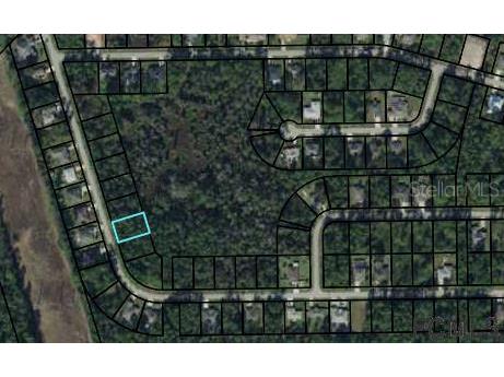 41 Secretary Trail Palm Coast FL 32164 FC274753 image2