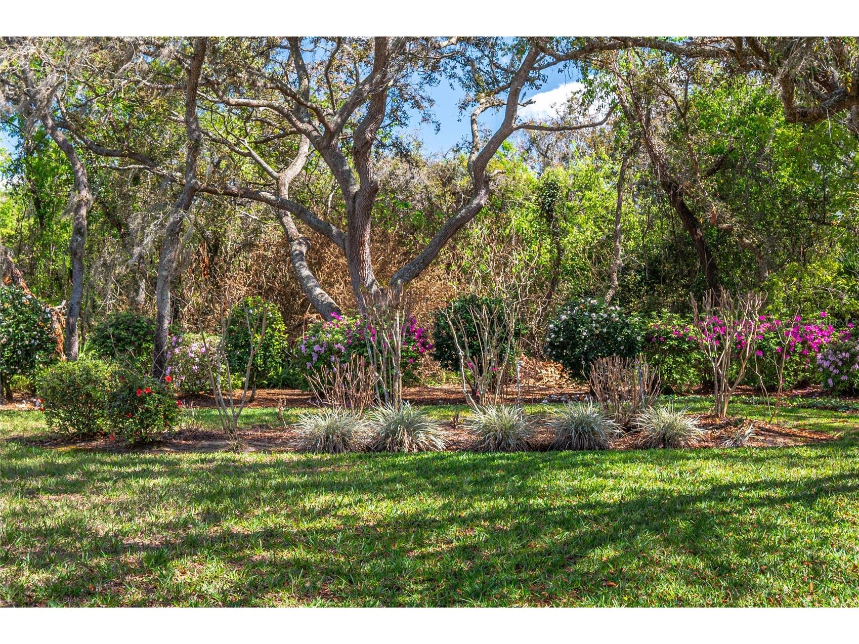 41 Spring Lane Haines City FL 33844 P4938063 image13