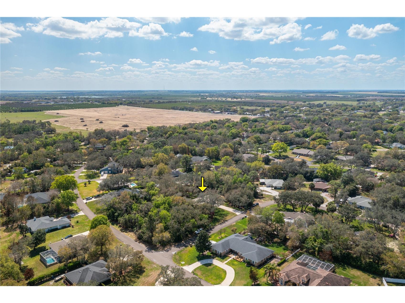 41 Spring Lane Haines City FL 33844 P4938063 image39