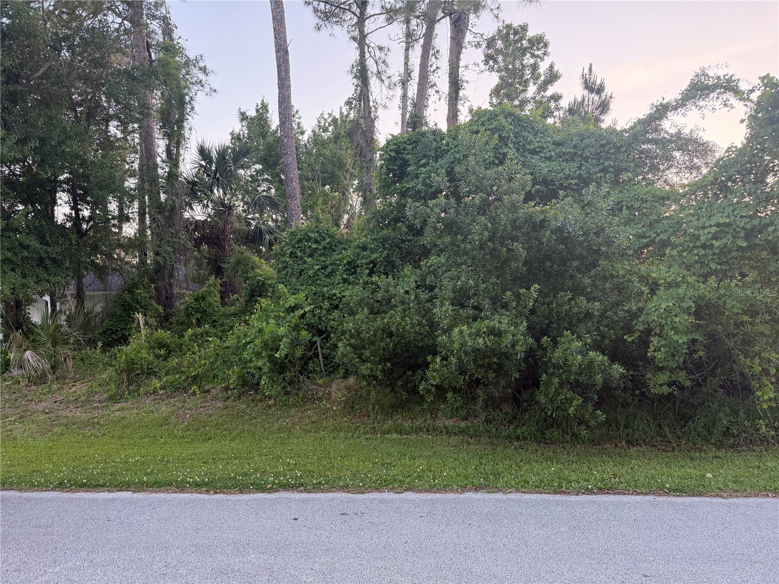 41 Woodlyn Lane Palm Coast FL 32164 FC318363 image3