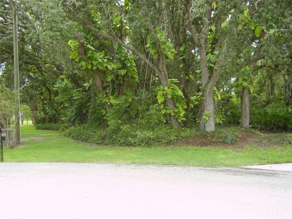 410 Anise Place Kissimmee FL 34759 R4909988 image2