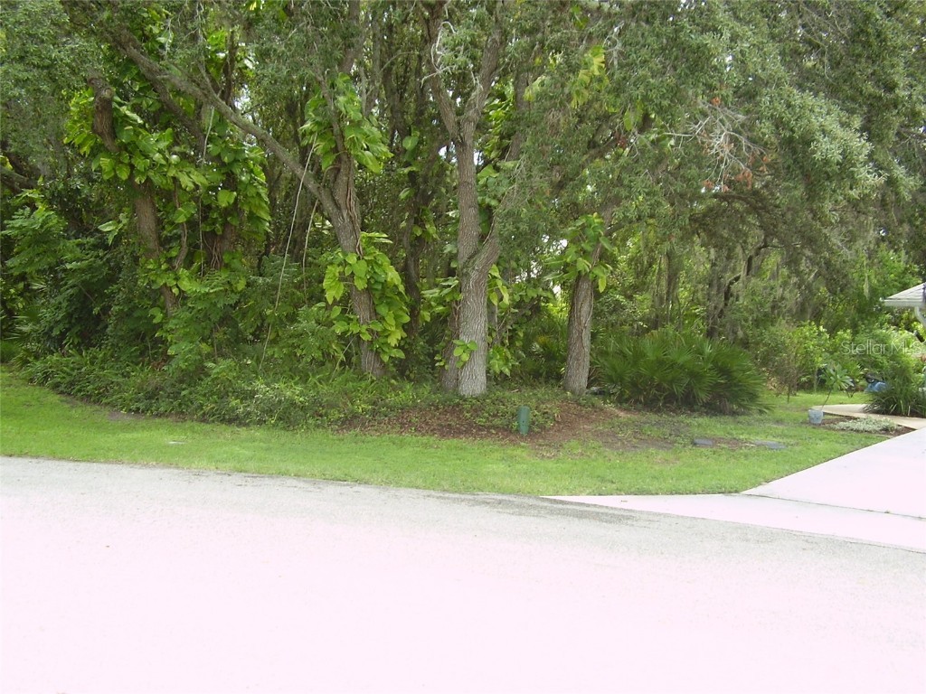 410 Anise Place Kissimmee FL 34759 R4909988 image3