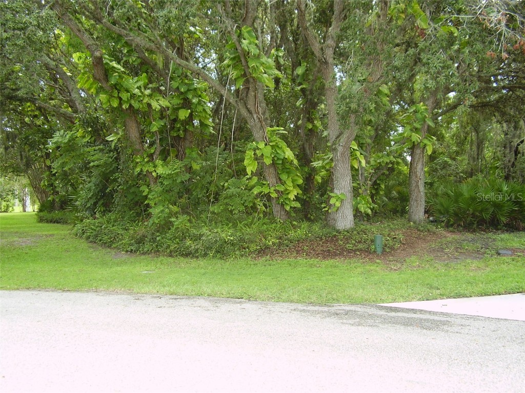 410 Anise Place Kissimmee FL 34759 R4909988 image4