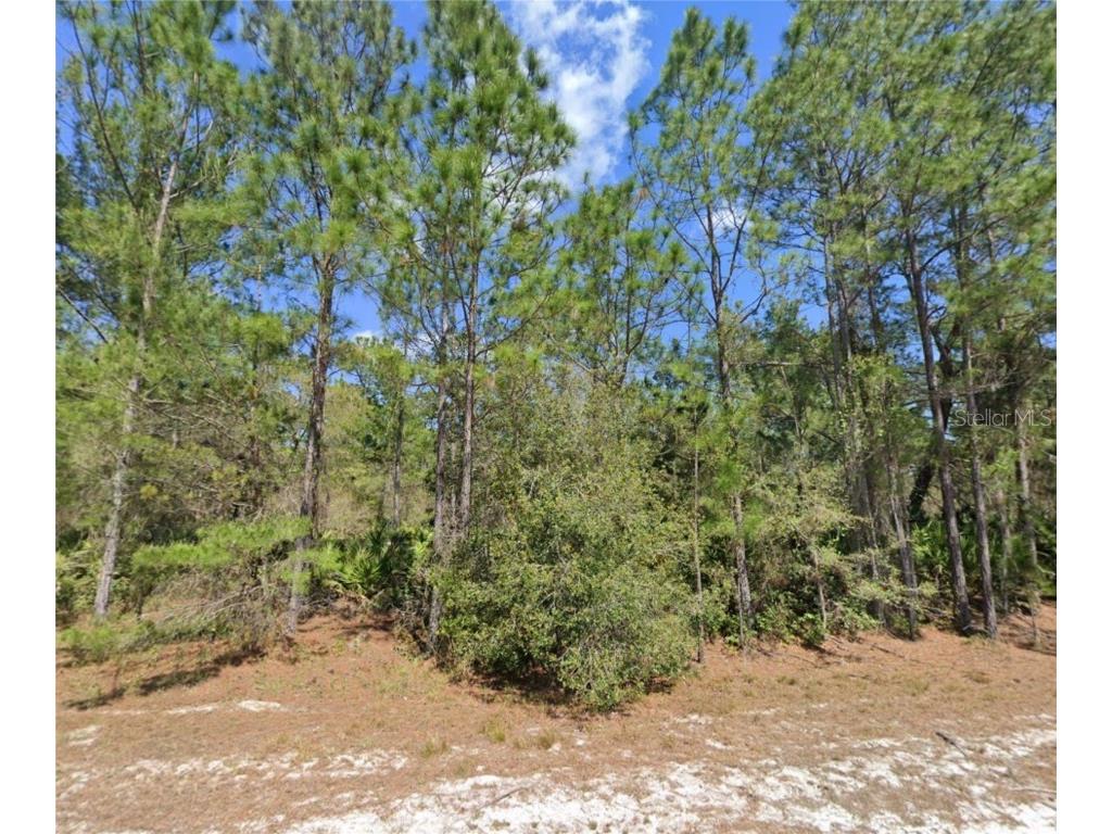 410 Carteret Road Georgetown FL 32139 O6183792 image1