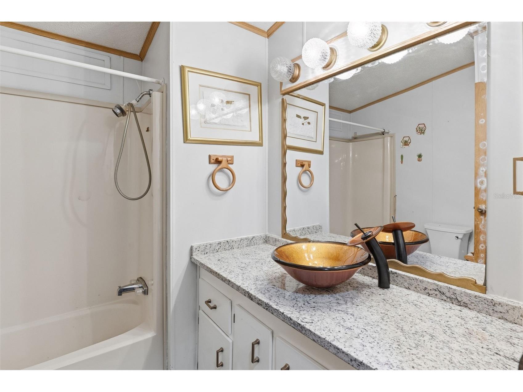 410 Dolphin Drive S Oldsmar FL 34677 TB8515822 image14