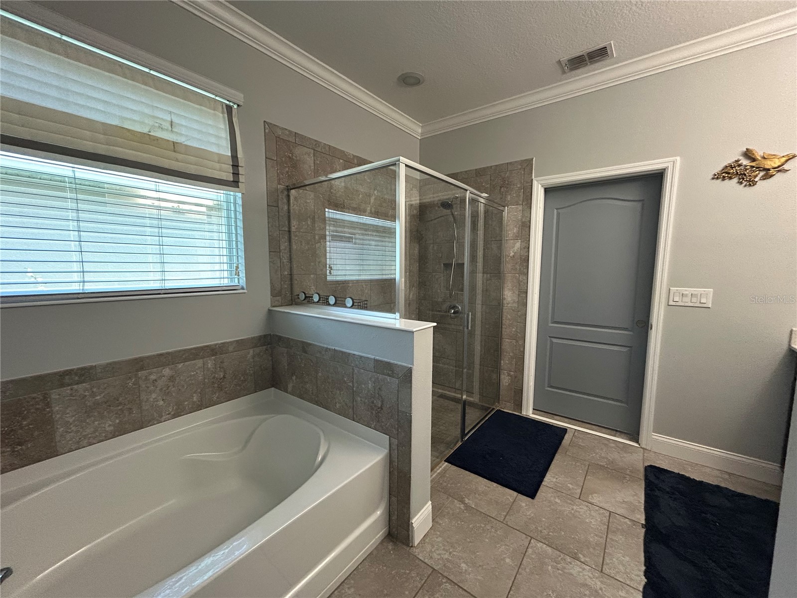 410 E Freesia Court Deland FL 32724 V4948578 image32