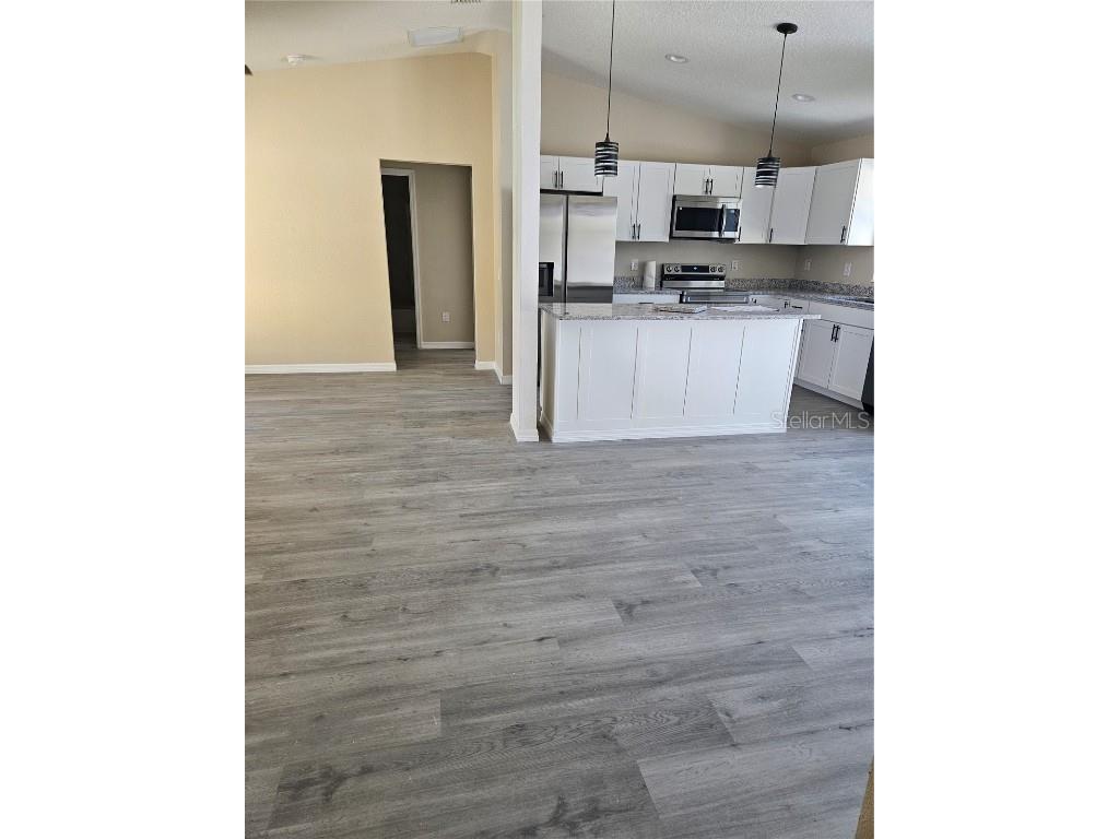 410 Kilgore Street Wildwood FL 34785 O6352923 image5