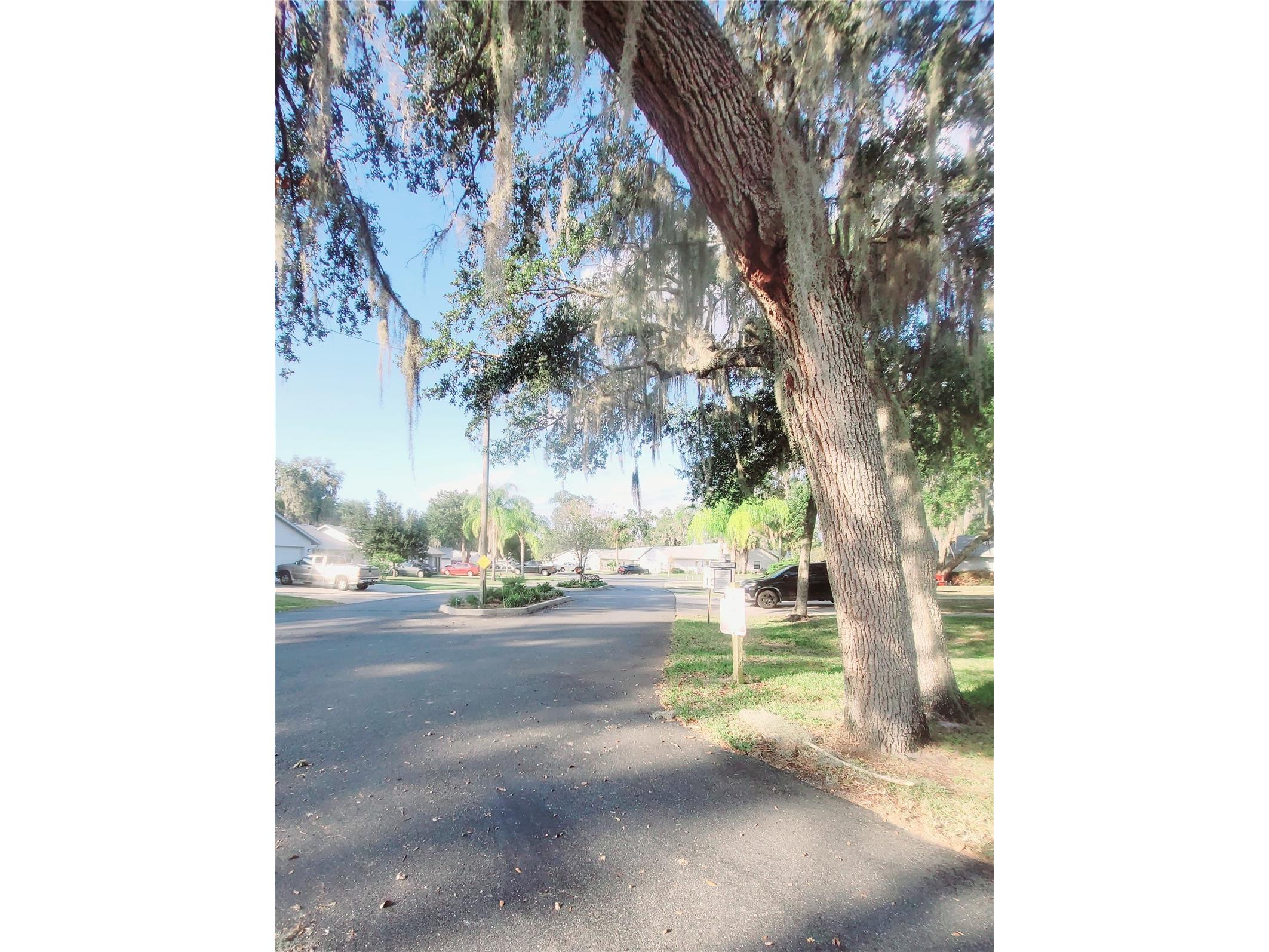410 Landing Boulevard #1 Inverness FL 34450 - LAKE HENDERSON TB8515286 image28