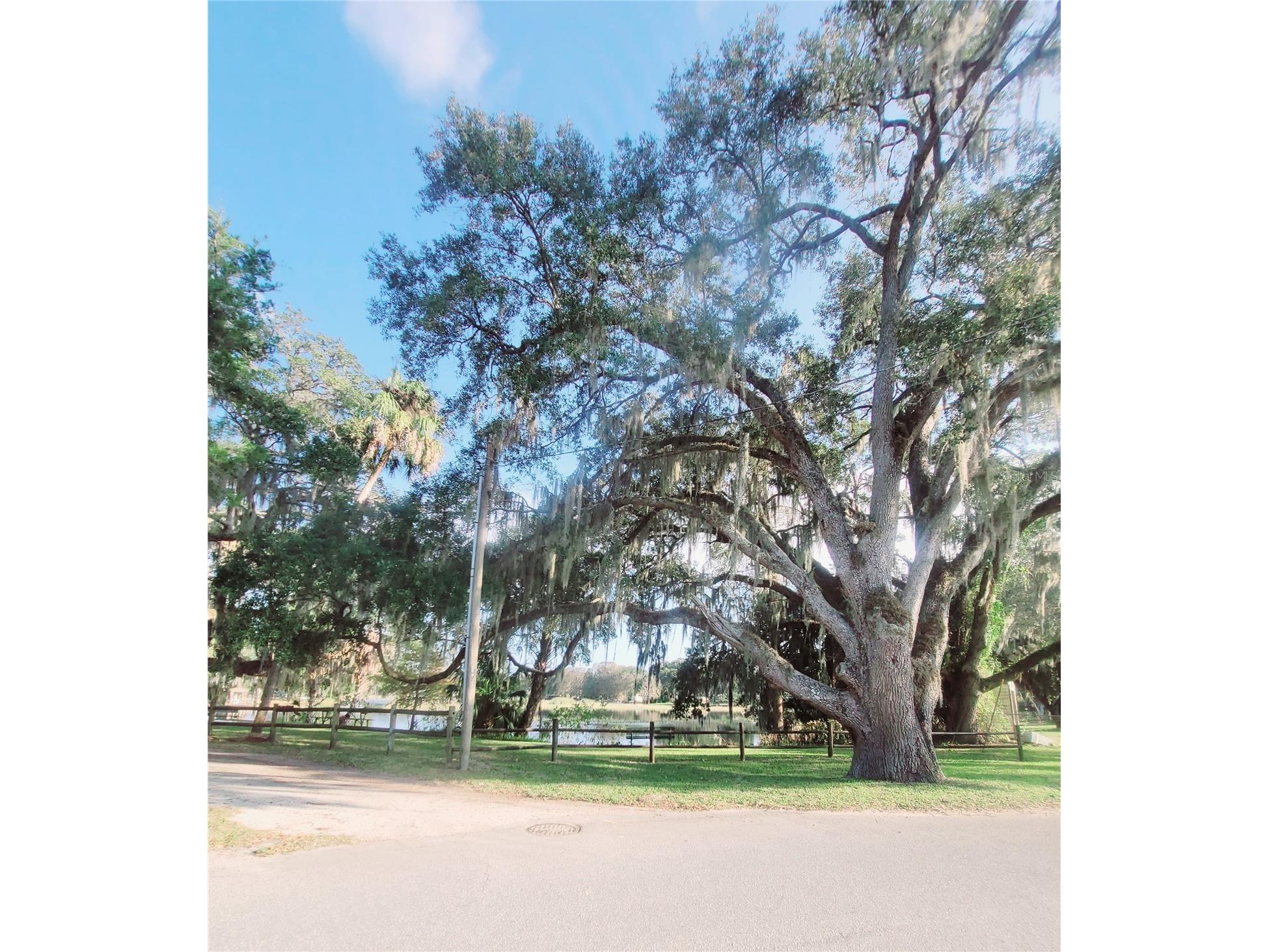 410 Landing Boulevard #1 Inverness FL 34450 - LAKE HENDERSON TB8515286 image29