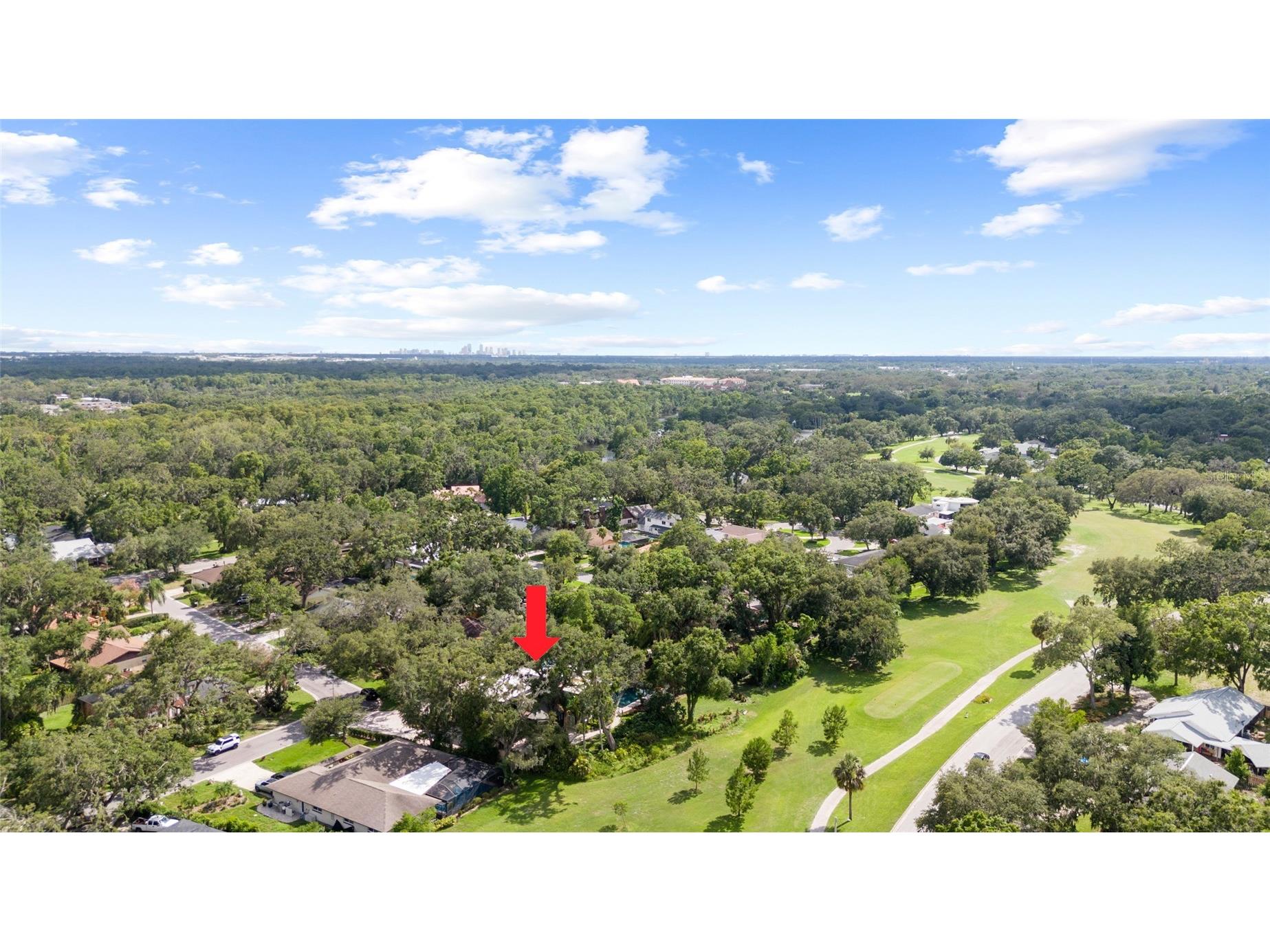 410 Montrose Avenue Temple Terrace FL 33617 TB8517897 image5