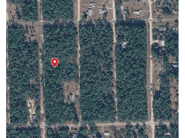 410 Quail Hollow Road Satsuma FL 32189 FC318059 image2