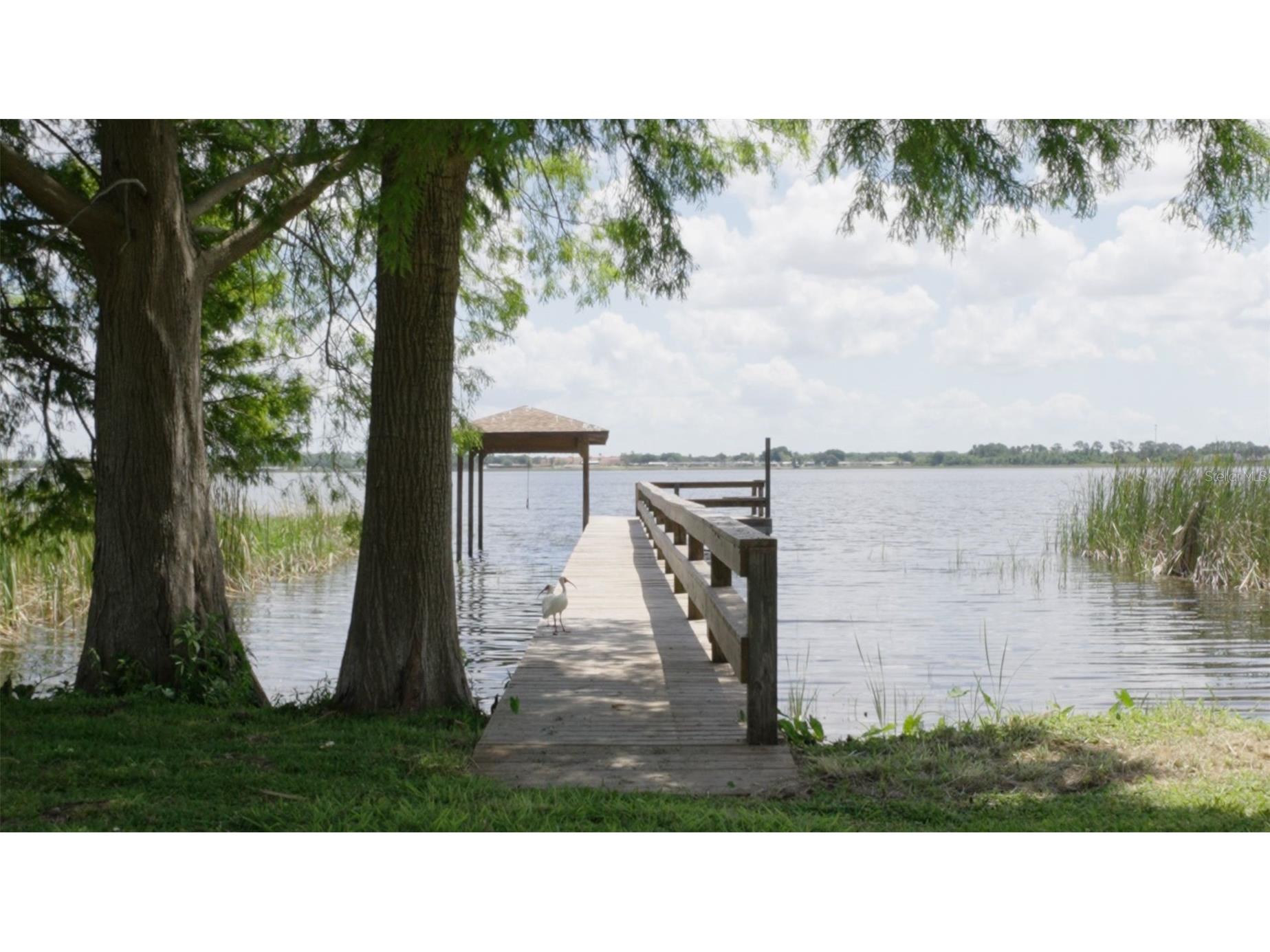 410 S Ramona Avenue Lake Alfred FL 33850 L4961294 image34