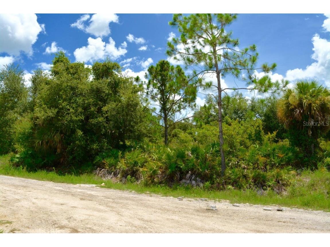 410 Thompson Avenue Lehigh Acres FL 33972 G5096075 image1